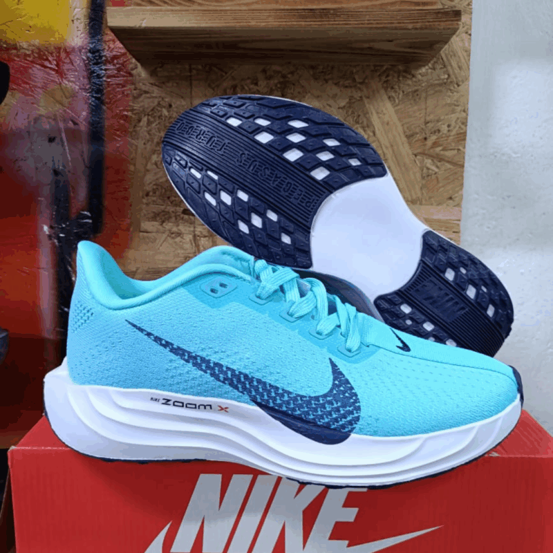 Nike Pegasus Plus